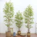 Artificial Bamboo Tree with Real Trunk – Lifelike Faux Plant for Indoor Home Decor